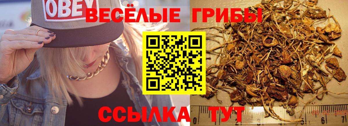 Галлюциногенные грибы мицелий  Вход с VPN  Донецк 