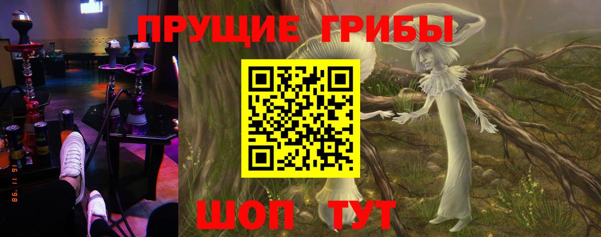 Псилоцибиновые грибы MAGIC MUSHROOMS Донецк